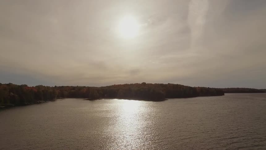 Forest sits next to lake under a cloudy sky