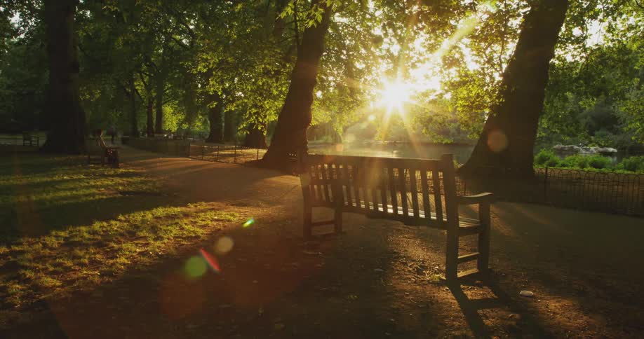 People are shown in a park over time