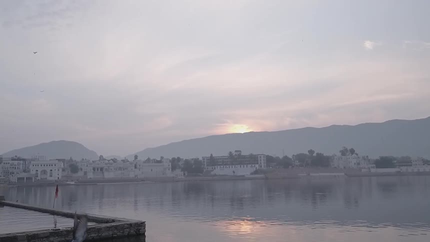 Pigeons take off and fly over a river at sunset