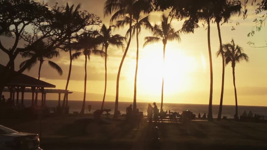 People walking on a beach with tall palm trees at sunset