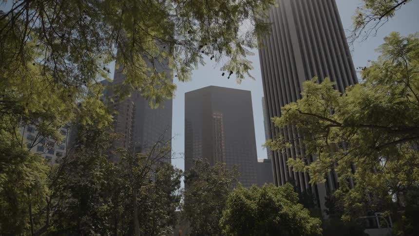 Skyscrapers tower over a city park