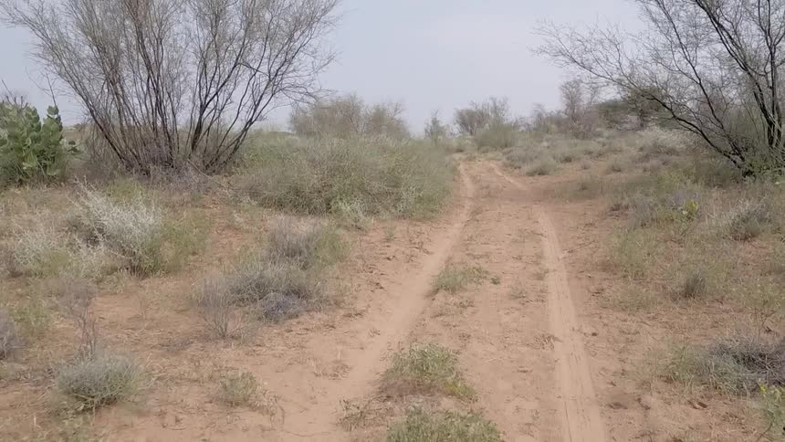 Traveling down a dirt road
