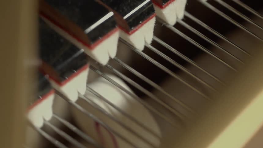Wires vibrate as they are tapped from below