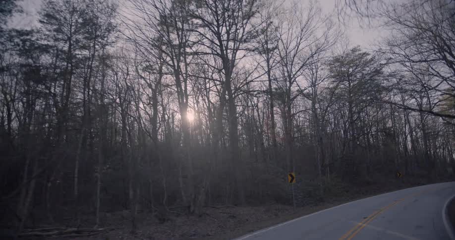 Sun setting behind some trees lining a road in the winter