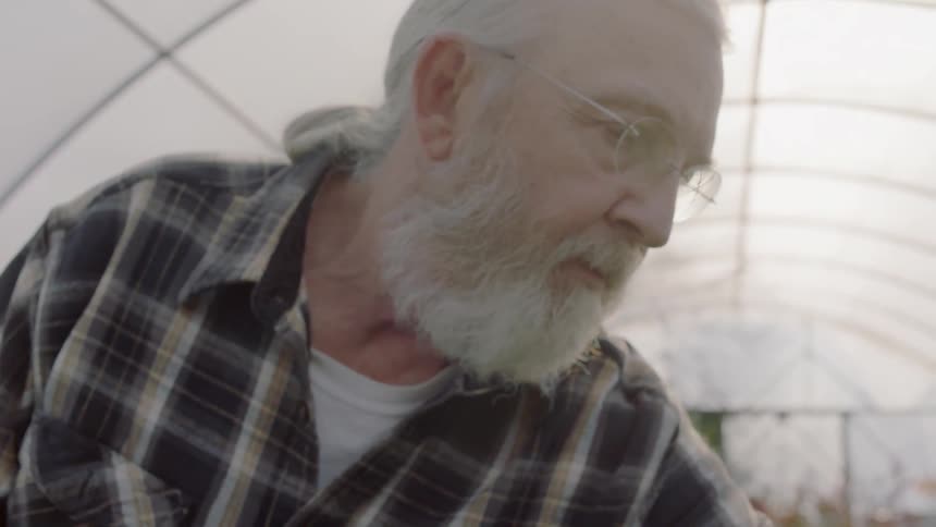 An older man is tending plants in a greenhouse during the day