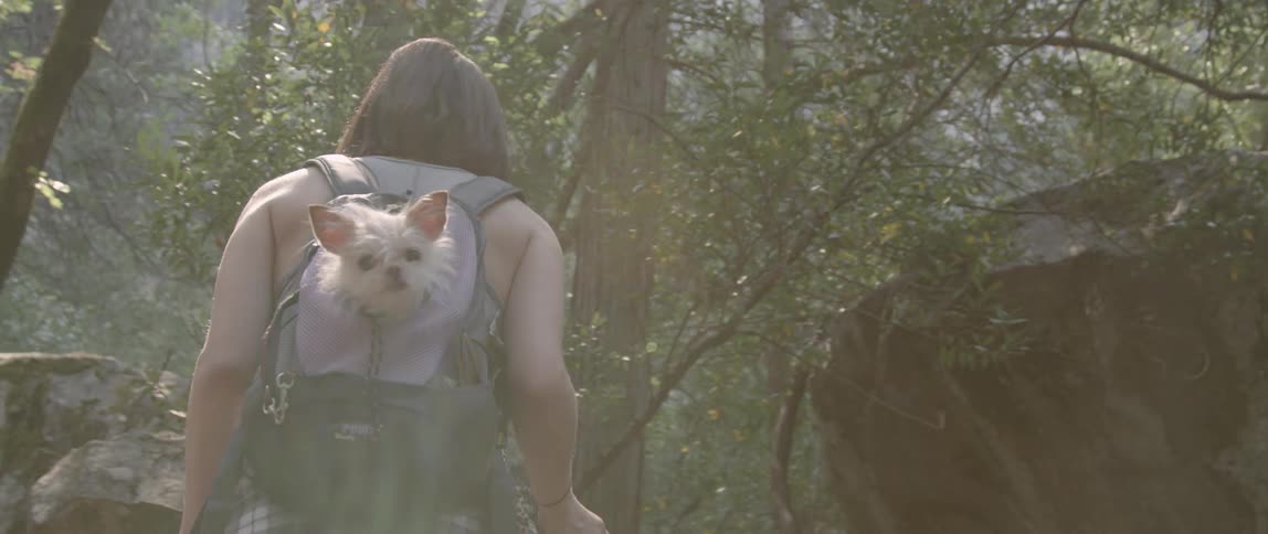 Woman hikes with a dog in her backpack