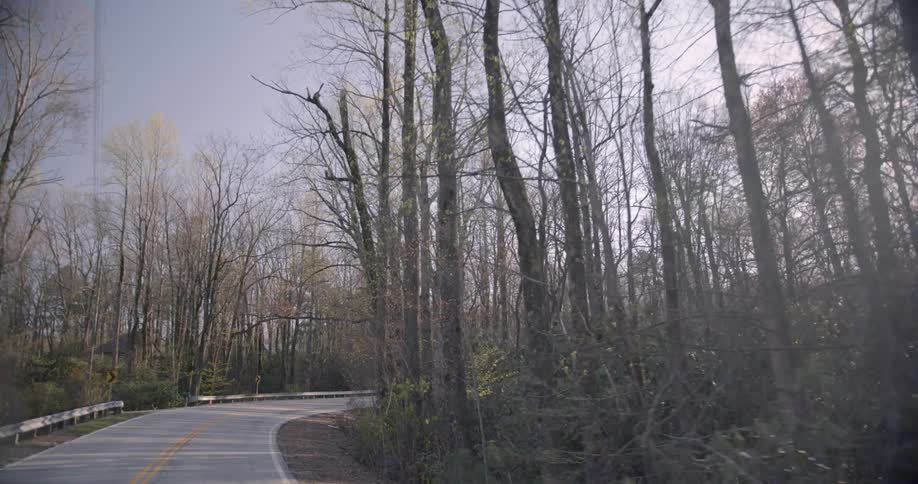 Roadway curving through a wooded area at sunset