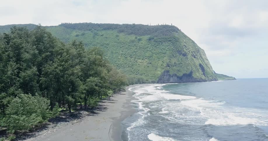 The jungle and the ocean meet
