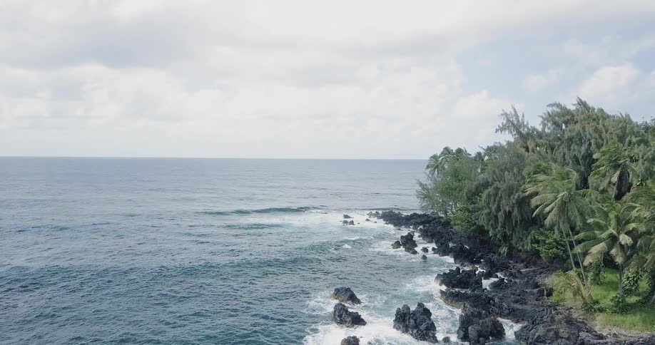 The waves crash on the rocks and palm trees of the shore