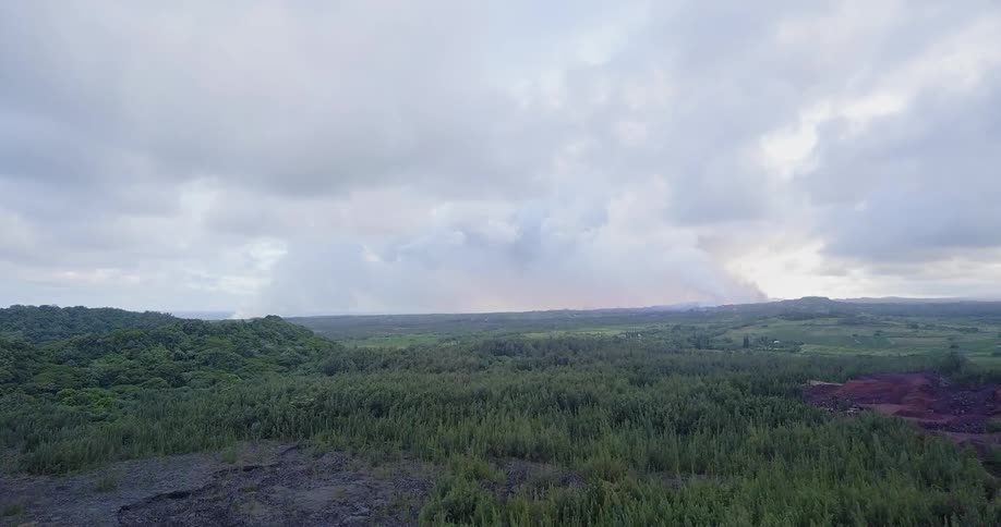 Smoke from a fire mixes with storm clouds in the air over a forest