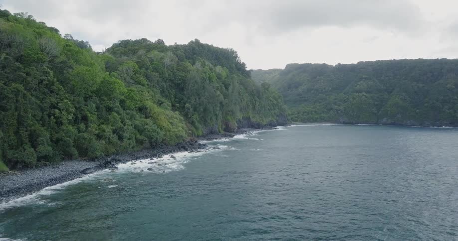 A beach that leads directly into a dense forest