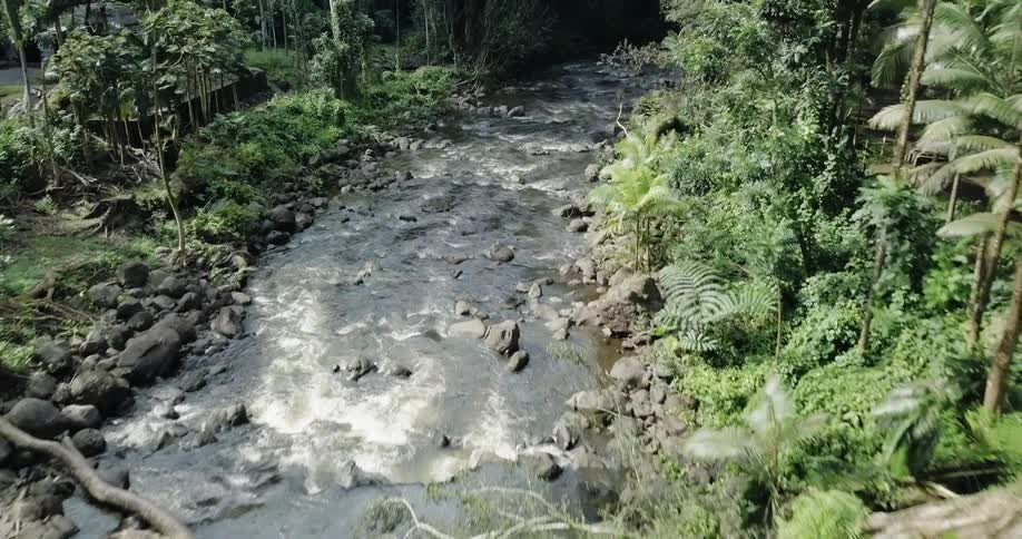 A river is rushing past a building in a jungle forest