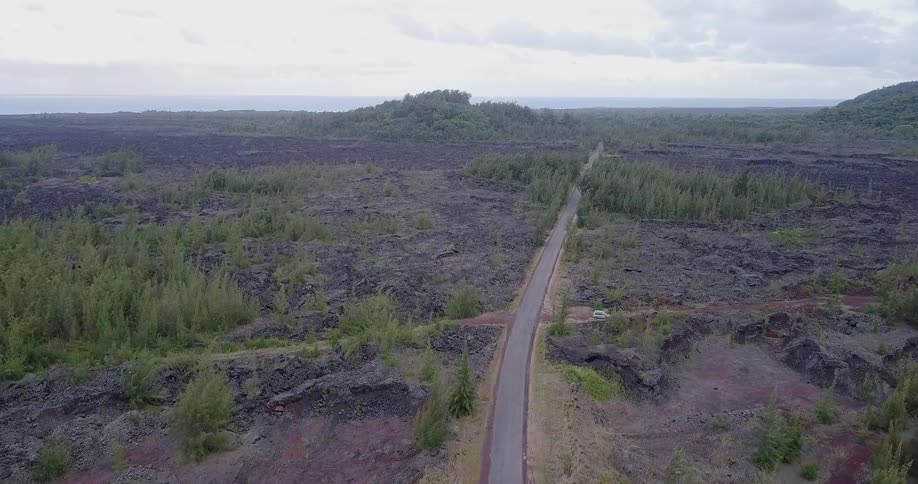Trees sparsely cover the land around a road