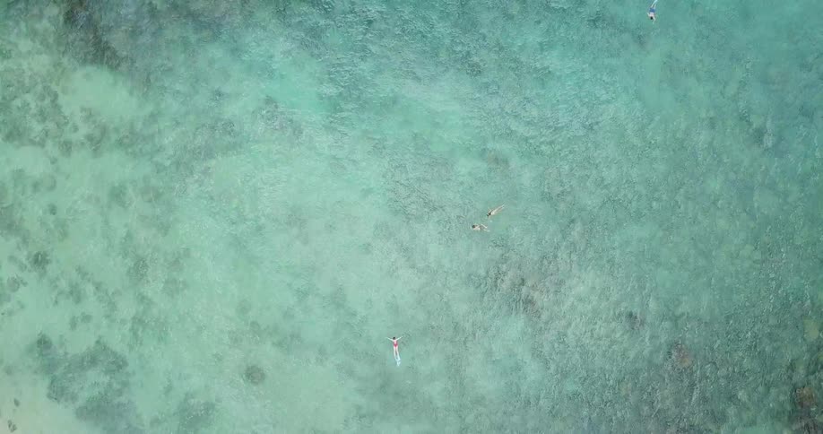 People are swimming and floating in the water below