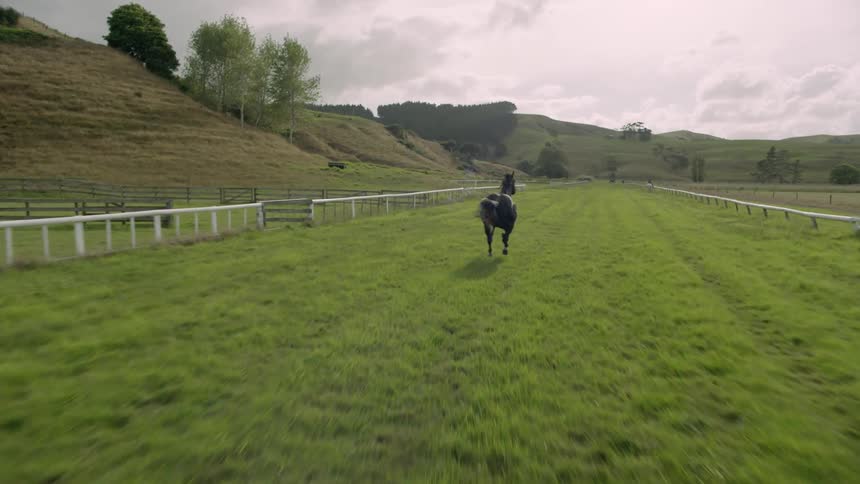 A horse gallops across a rural field