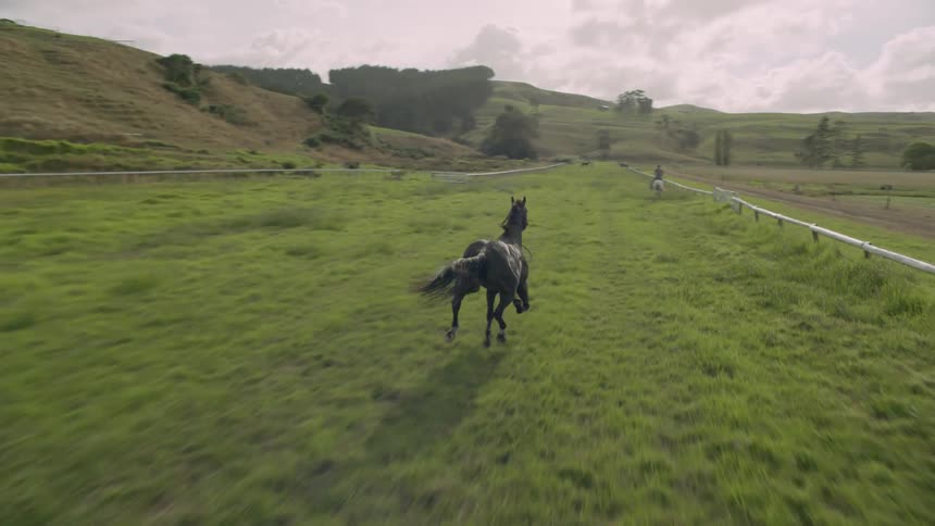 A horse gallops through a rural field