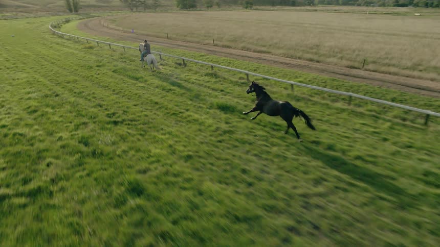 Men on horseback ride through a grassy field as a black horse runs free