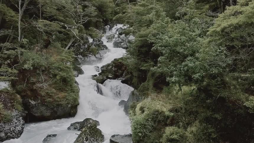 The rapids go downhill in the wilderness
