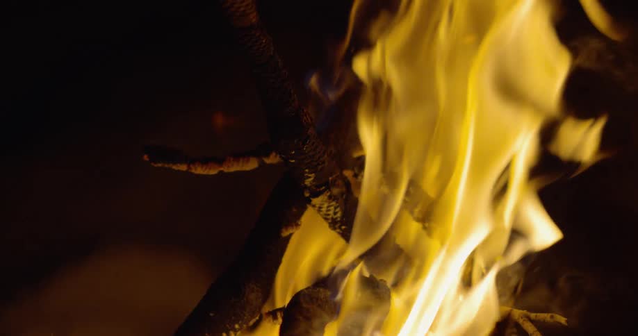 The top of a campfire burning