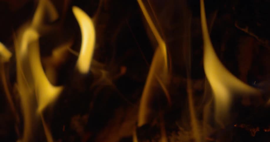 Romantic Flames Flutter