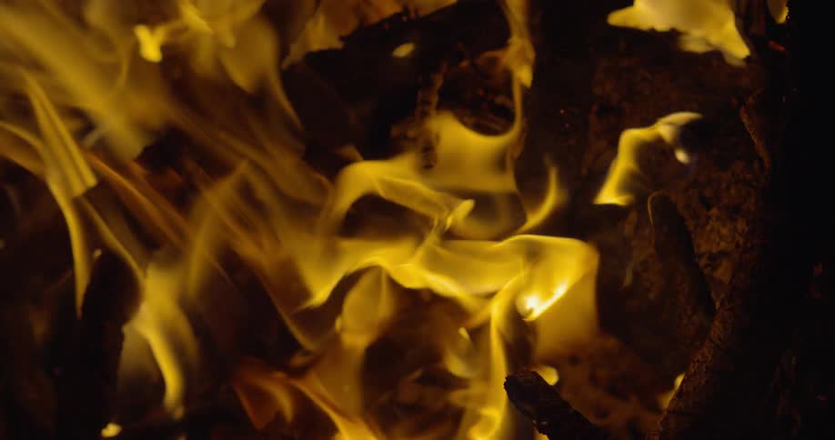 Hot flames of a fire