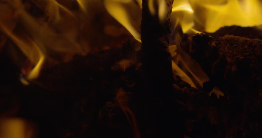 Flames lap charcoaled wood in fire at night
