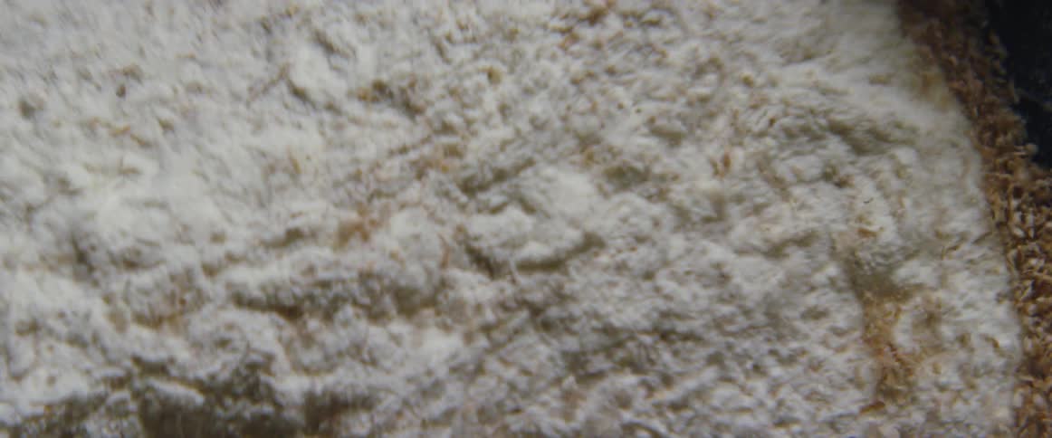 White powder vibrates and is churns