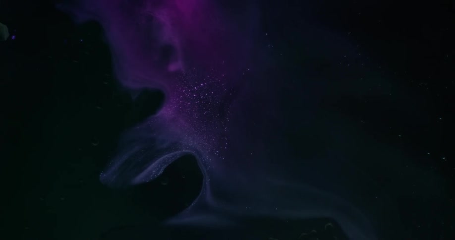 A purple flower sits in the dark area