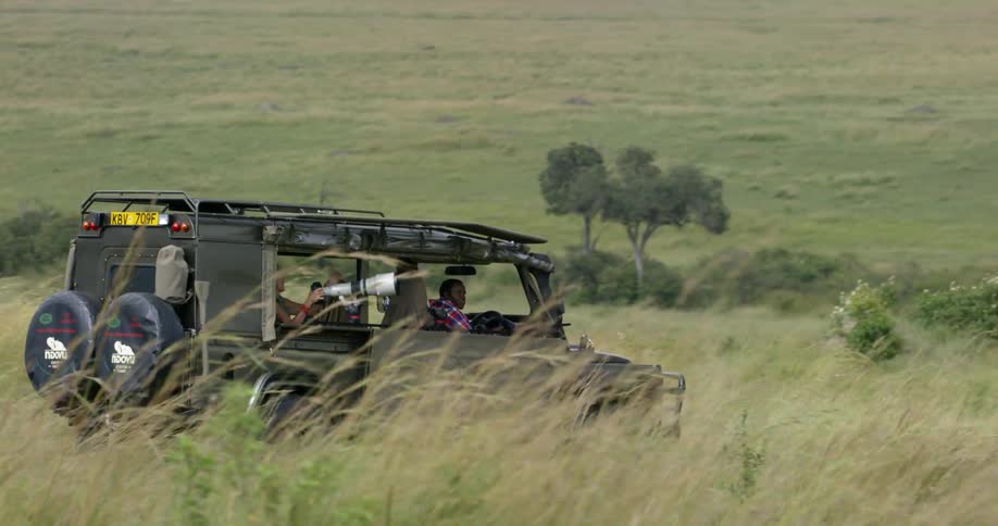 A vehicle drives on a safari