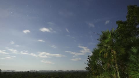 A time lapse view of clouds blowing over palm trees