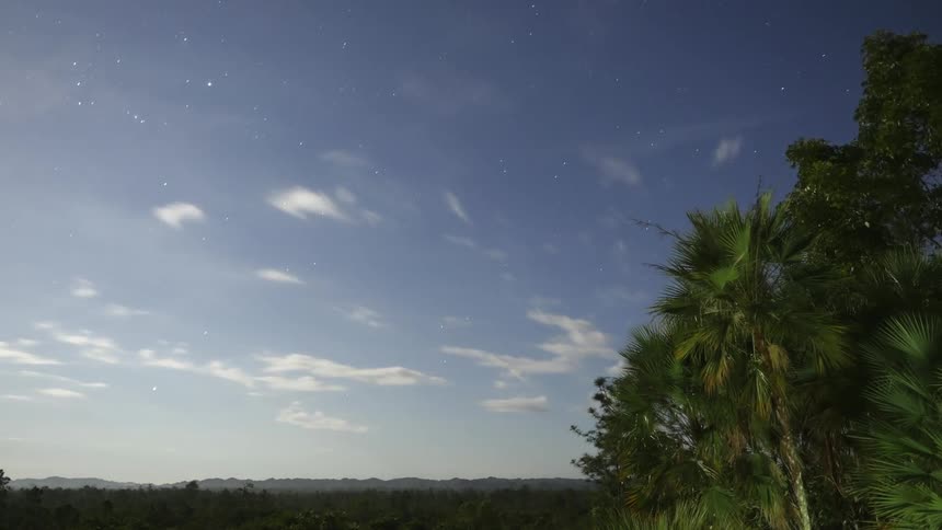 A time lapse view of clouds blowing over palm trees