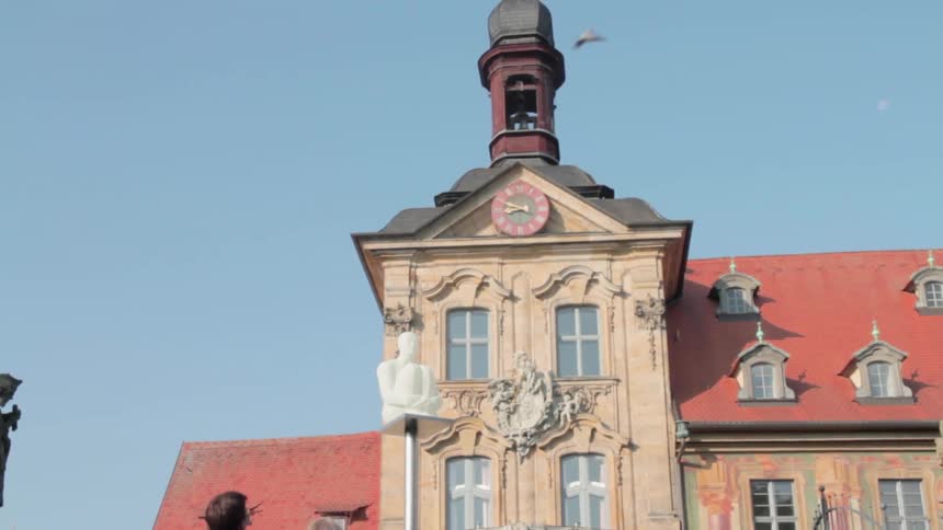 A bird flies past the clock tower on a sunny day