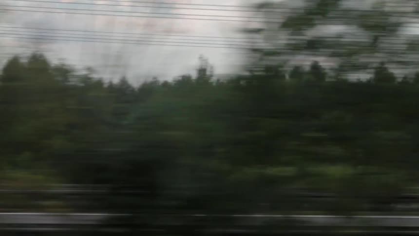 Traveling Down Road Past Trees On Cloudy Day