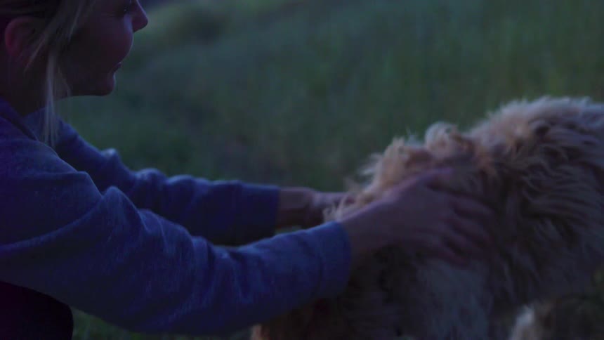 A woman is petting a dog in the grass