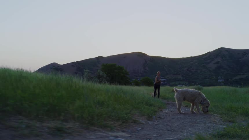 A woman and her dogs run through a field