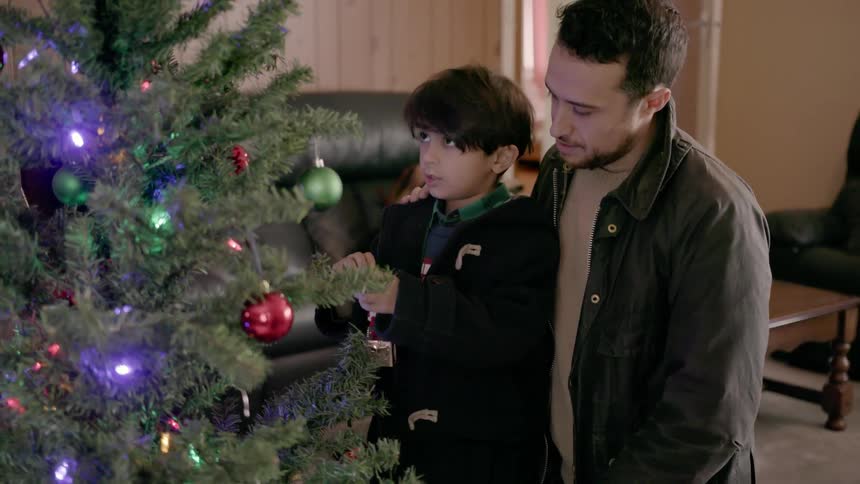 A man and child are placing ornaments on a christmas tree