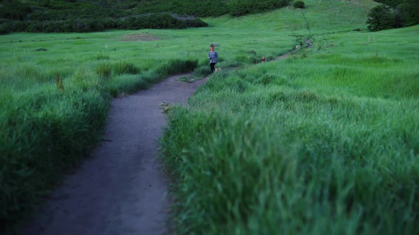 Woman jogs with dogs through a grassy field