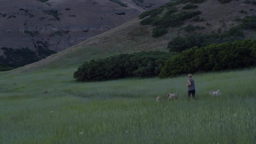 A woman runs with her three dogs down the hill