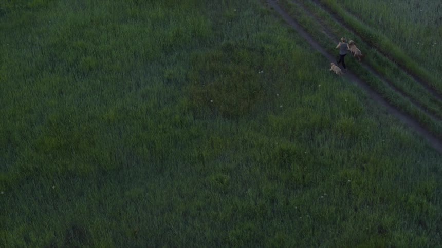 Person running a path through a grassy area along with two animals as seen from above