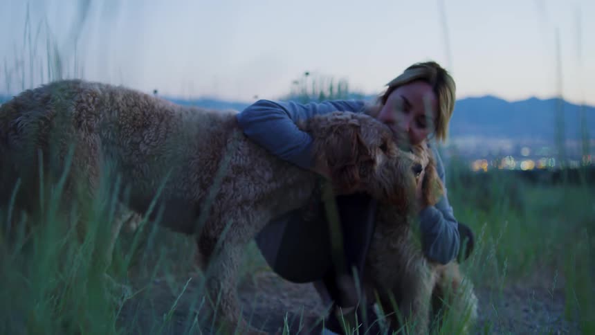 Woman petting two dogs in the grass during sunset