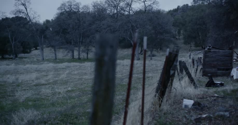 Wooden fence post and wire in field 