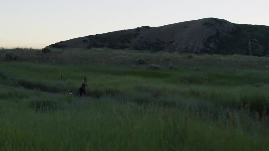 Woman jogging through grassy field with two dogs