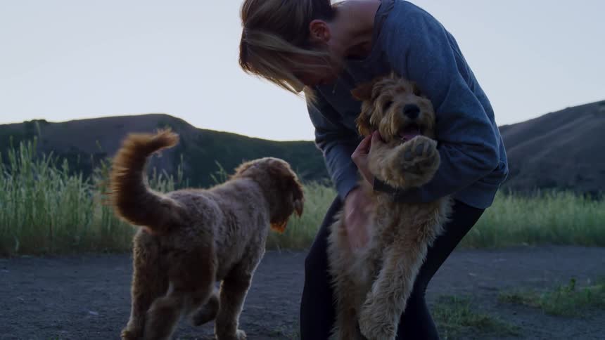Woman holds her dog as another one walks by