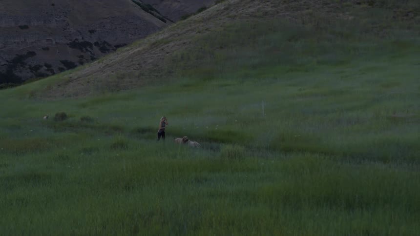A woman is jogging with her dogs on a trail at dusk