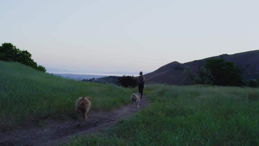 A woman is jogging down a dirt road with three dogs