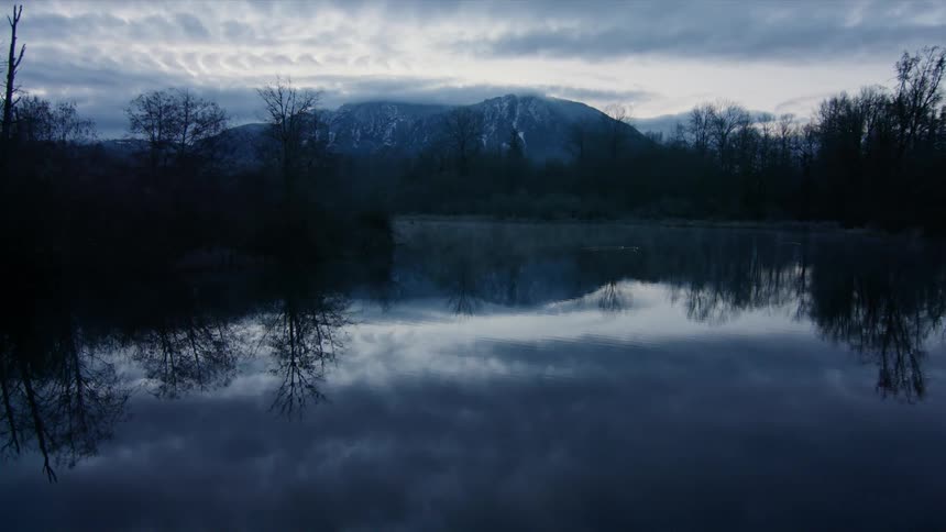 Trees are reflected in a lake by a mountain