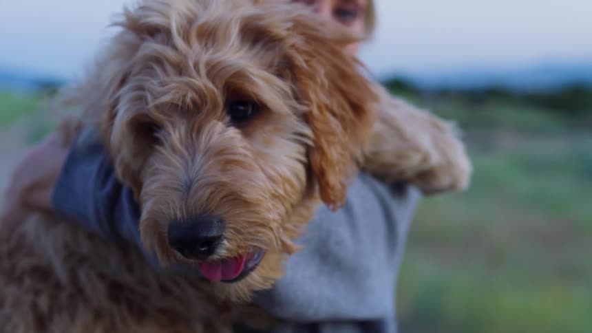 Woman holding dog in her arms as it pants