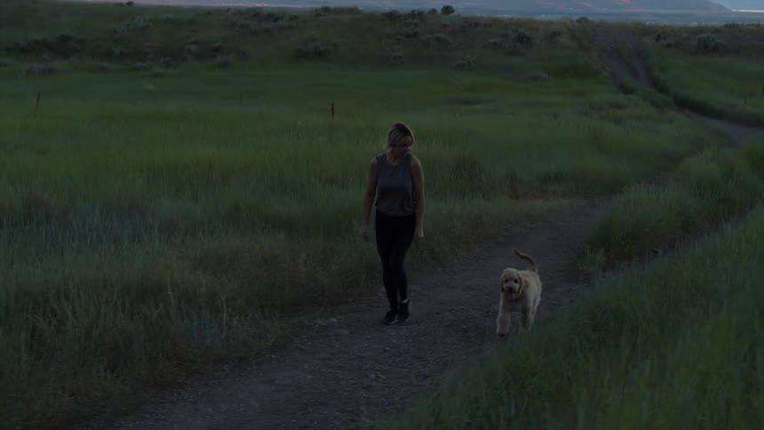 A woman and dog walk through a field