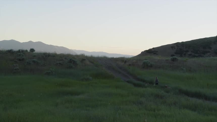 A woman jogs up a path on a grassy hill with her dogs