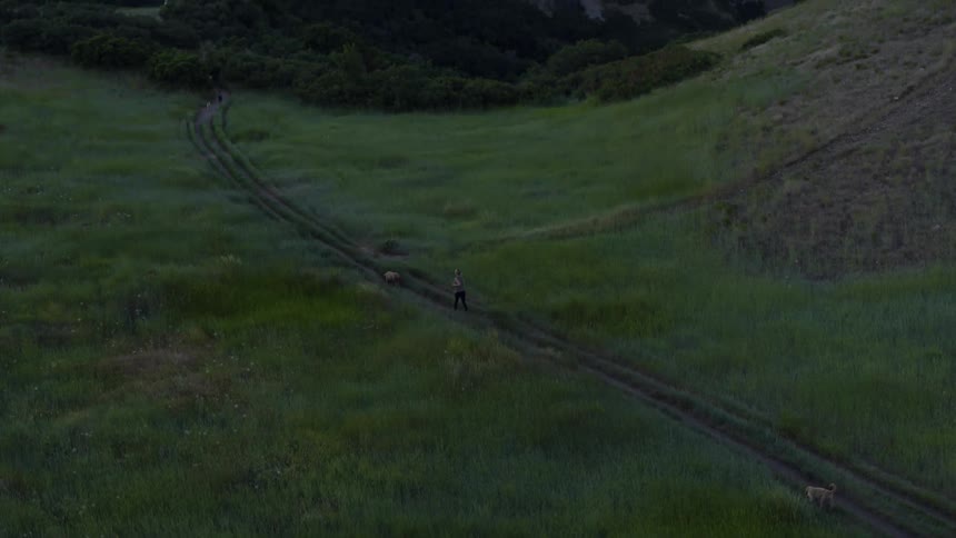 A person is running down a trail with a dog at sunrise